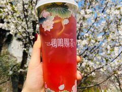 -鸡鸣赐茶(鸡鸣寺路店)