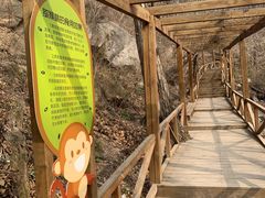 -大岭沟猕猴桃谷风景区