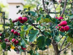 -红人馆造型世爵国际