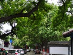 -北京国子监胡同