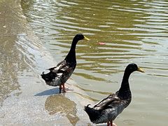 -太阳宫公园