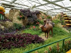 -兰陵国家农业公园