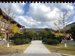 -金海湾海鲜排档(朱家尖店)
