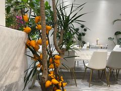 -卓花境Flowerwonderland花店