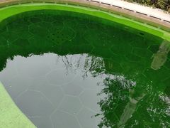 -大连金石滩绿发温泉假日酒店