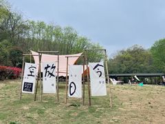 -南京老山国家森林公园