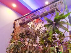 -金陵暴走小龙虾·迷踪蟹(凯德MALL店)