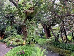 -Chom Cafe and Restaurant