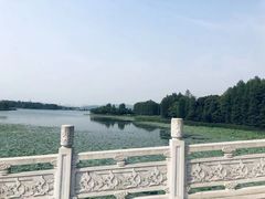 -东湖落雁景区