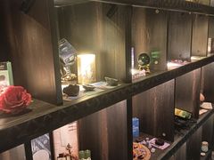 -雪灵魔法世界SHELLY’S TAROT(大良桂畔里店)