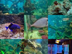 -长鹿旅游休博园