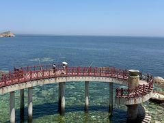 -养马岛旅游度假区