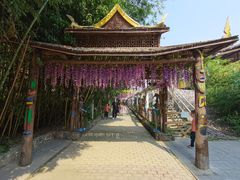 -呀路古热带植物园