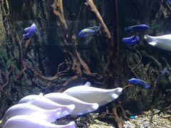 -华夏文旅海洋公园