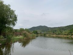 -石塘人家
