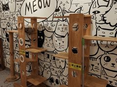 -喵匠猫主题咖啡(凯德和平广场店)