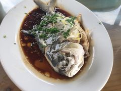 清煲海鱼-海上驿站渔家菜馆