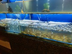 水产区-芭菲盛宴·环球美食(解放碑英利国际店)