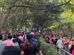 -韶山毛泽东同志故居