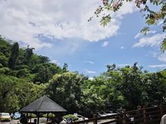 -野象谷景区