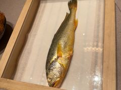 -新荣记(新源南路店)