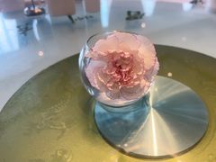 -眉州东坡(石景山店)