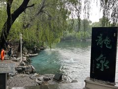 -百脉泉景区