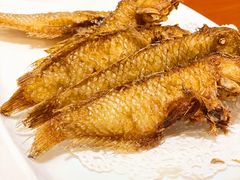 香煎英哥鱼-金穗园·砂锅粥.醉鸡煲火锅(长寿路店)