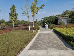 -九里河湿地公园