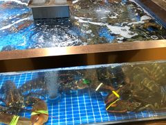 水产区-七鲜超市(通州ONE店)