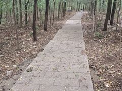 -云龙山