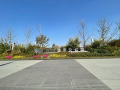 -映月湖中央公园