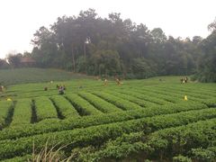 iphone_upload_pic-保利石象湖景区