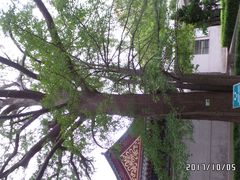 -青岛崂山太清宫