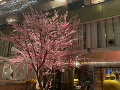 -金轩中餐厅 Jin Xuan(浦东丽思卡尔顿酒店)