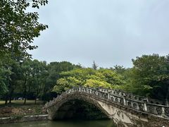 -梅园