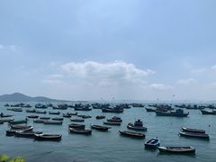 -海源公园