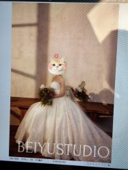-北遇映画PHOTO GRAPHY STUDIO