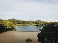 -上海佘山世茂艾美酒店