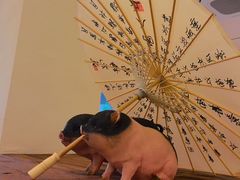 -春家·非遗手工小吃(徐汇万科广场店)