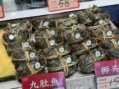 -飞尝蚝·顺德菜·鱼生(顺德总店)
