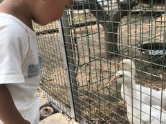-河北村民俗体验园