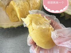 -都念榴莲·城市榴莲