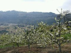 -金堂县云顶石城风景区