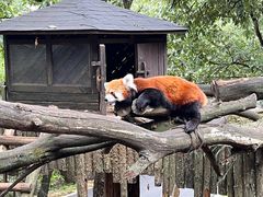 -云南野生动物园