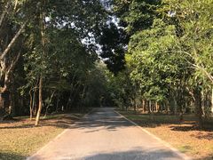 -中国科学院西双版纳热带植物园