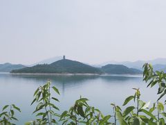 -望湖烤鱼