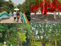 -西双版纳勐泐文化旅游区