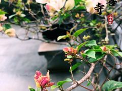 -杭州上天竺法喜讲寺