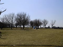 -塘沽森林公园